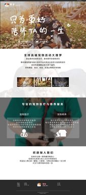 潜子宠物 一个以爱为名的企业官网设计之旅