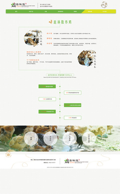 返林散养鸡官网设计效果图展示